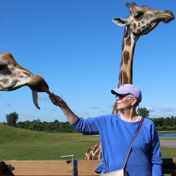 Meet your Posher, Carmel - Picture 5 of 5